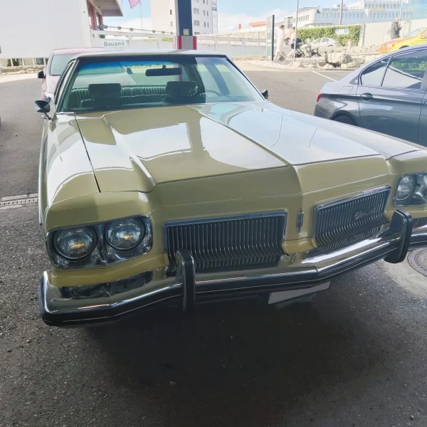 Bild: Oldsmobile Delta